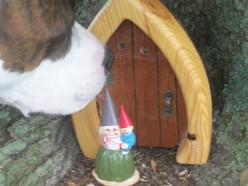 A History of Fairies from Around the World