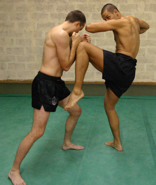 Landing with with the sharp point of the elbow is more effective than the blunt, flat surface of the forearm when throwing elbow strikes.