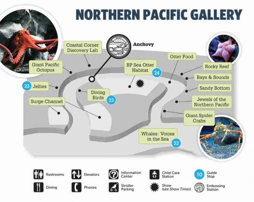 Aquarium of the pacific coupon code