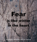Find the Fear, Then You Can Move Forward