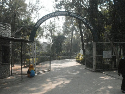 Chattbir Zoo, Zirakpur