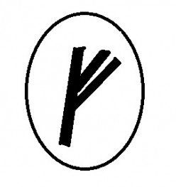 The Runes : Fehu