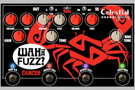 Cancer the Wha': an amazing fuzz octave wah pedal. As if that's even a real thing. 