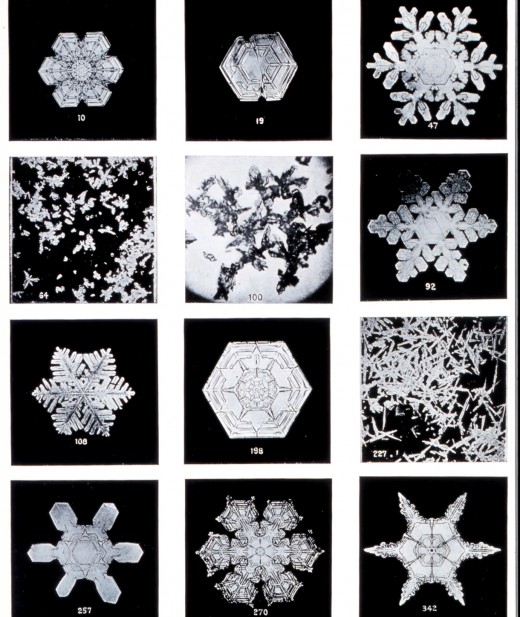 NOAH collection of snowflake photos by Bentley.