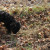 More sniffing to find out what's there More sniffing to find out what's there