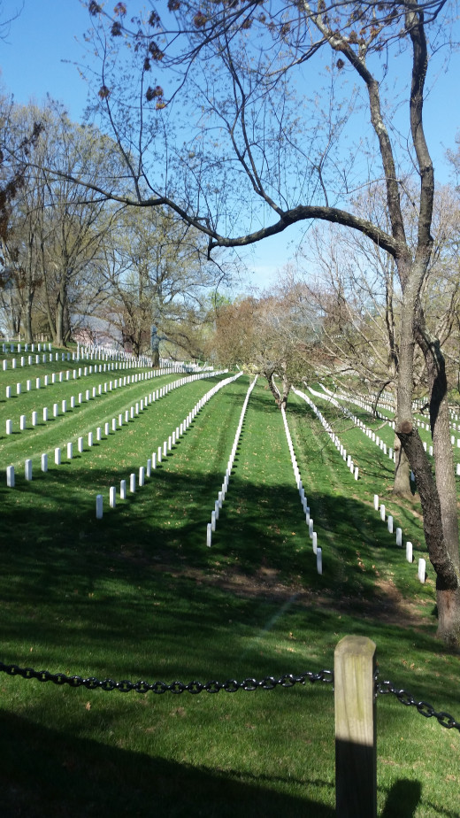 All of the markers have to be in perfect rows, from one end of Arlington to the other. 