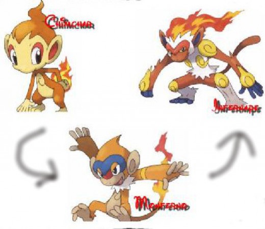 96 Best Ideas For Coloring Pokemon Chimchar Evolves 