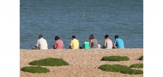 Six people having a picnic,  sitting on the beach overlooking the sea
