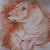 Lion in Pastel Lion in Pastel