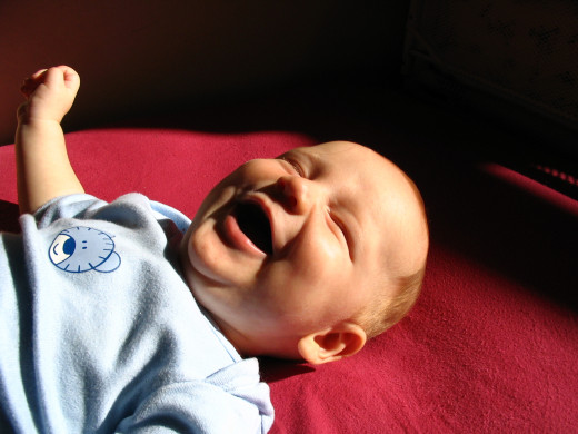 Complete Joy