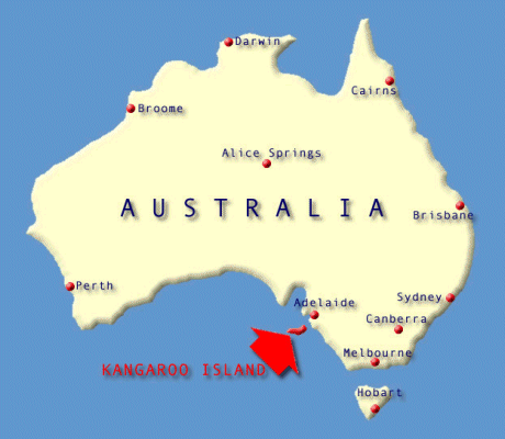 Location of Kangaroo Island off the coast of Australia.