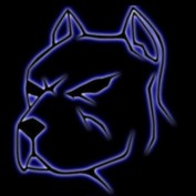 Zver profile image