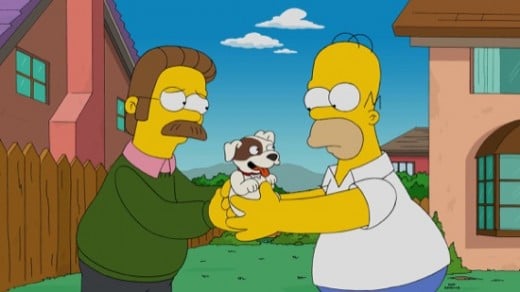 Flanders give his dog, Baz to Homer. 