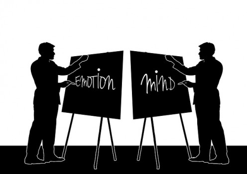 Which is stronger - emotion or cognition?