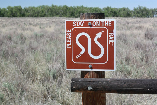 Follow the warning signs, we saw a lot of rattlesnake poop on the trail.