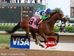 A life interrupted: Ode to Barbaro