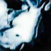 Michael A Myers profile image