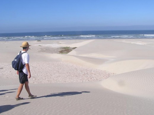 Magdalena beach 