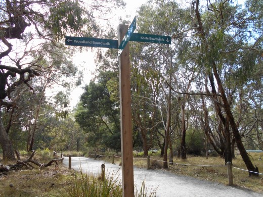Signs directing visitors to the boardwalks and woodland bushes. You won't get lost by following the signs. 