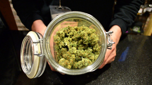 Biodiesel