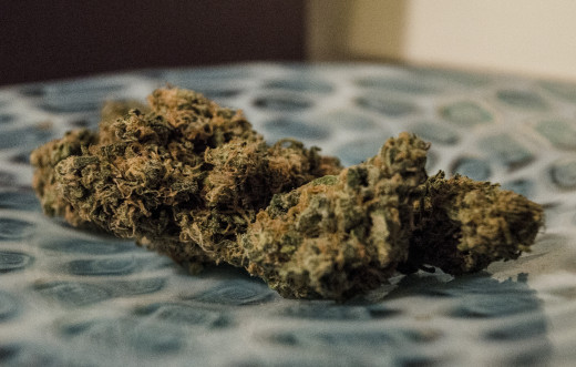 Chi's Blue Dream