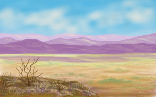 'Southwest Panorama' 
