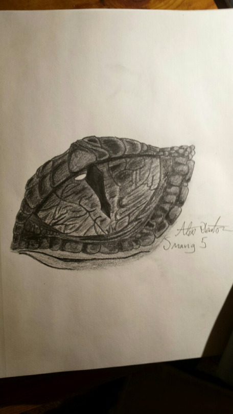 Here is an example of some shading that I am proud of. Look at how it blends and stays consistent with the light. I spent most of my time  shading on this drawing.