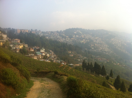 Darjeeling, North India 