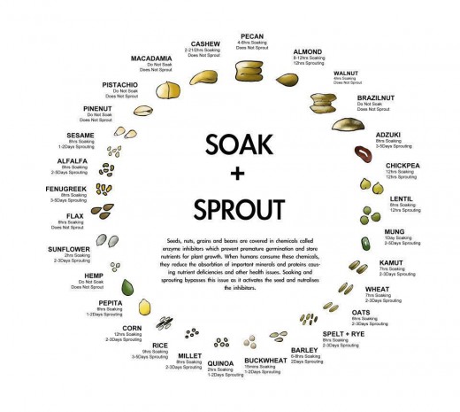 A handy dandy chart to the sprouting times. Some beans and nuts need special treatment. My guide is for simple beans. 