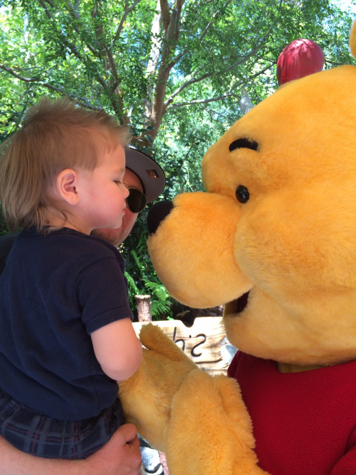 winnie the pooh