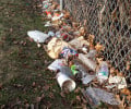 Litter, Its Effects, And What We Can Do About It