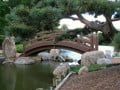 A Hidden Japanese Garden