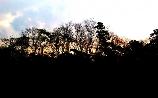 Beautiful Hollong at sunrise