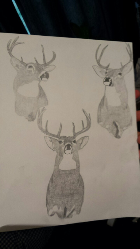 I took my time on this drawing and I am very pleased with the results