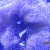I clown fish, resting. I clown fish, resting.