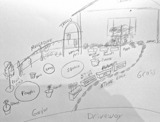 Rough draft