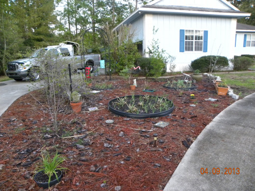 Planters placed
