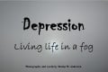 What is Depression Made Of?