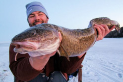 How to catch, clean, and cook a fresh water burbot!