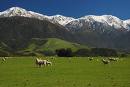 Canterbury's Southern Alps