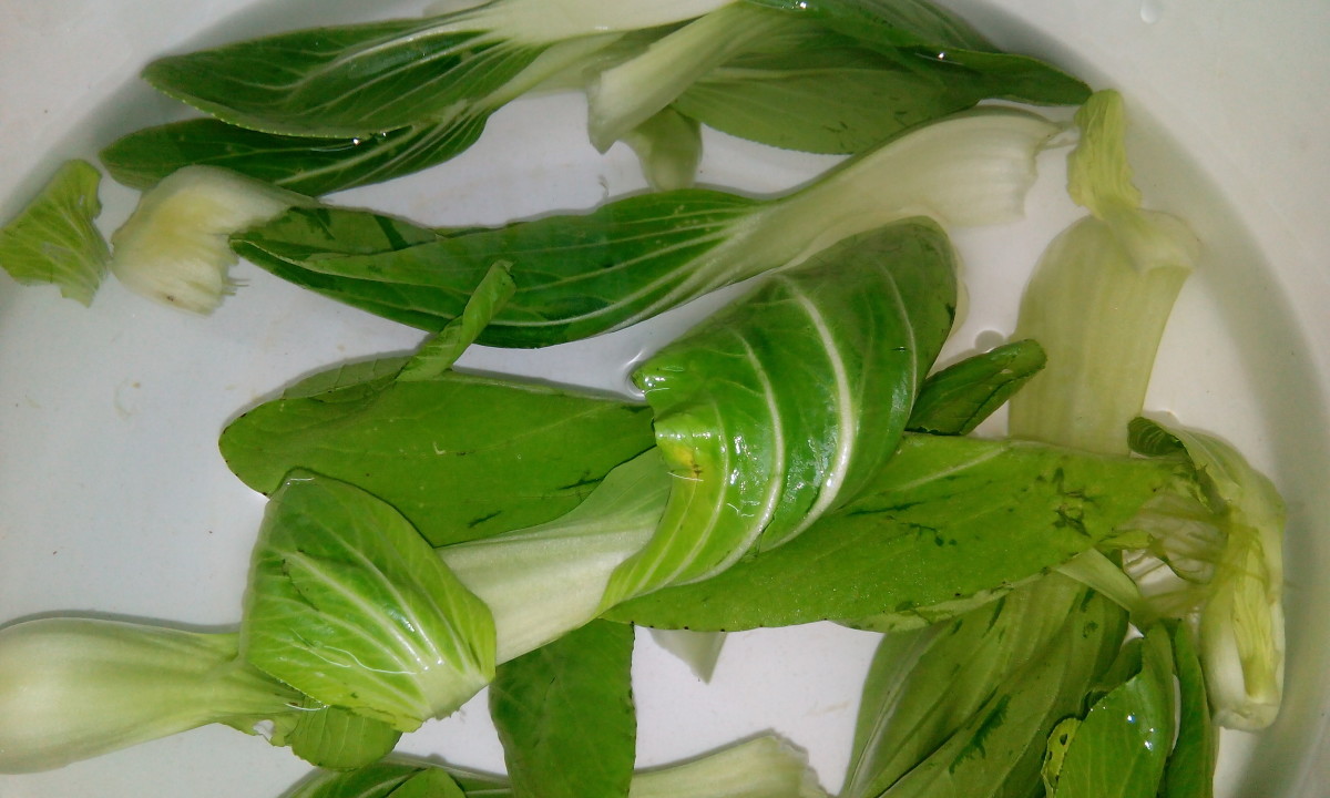 You can either tear the pak choy leaves a part or wash them a whole.