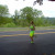 Half Marathon Runners (6 of many) Half Marathon Runners (6 of many)