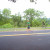 Marine Corps Half (28 of many) Marine Corps Half (28 of many)