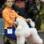 She had a Toy Poodle and normally entered it in dog shows. In 2013 it became a Baltic Winner. She had a Toy Poodle and normally entered it in dog shows. In 2013 it became a Baltic Winner.