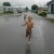 my son running-always so energetic =) my son running-always so energetic =)