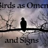 Birds as Omens and Signs