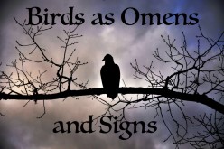 Birds as Omens and Signs