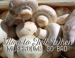 How to Tell When Mushrooms Go Bad