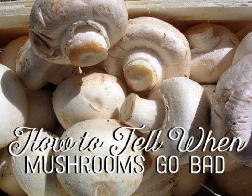 How to tell when mushrooms go bad