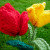 Hui-蕙 knitting flowers Hui-蕙 knitting flowers